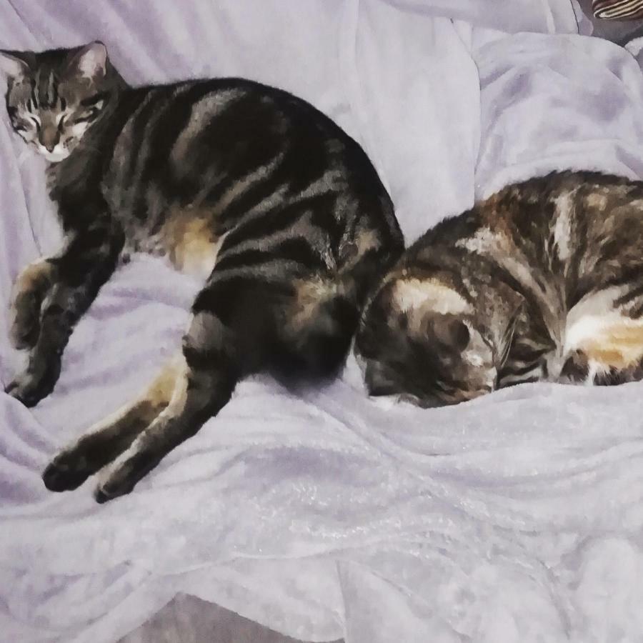 Silver Home Nazaré Zewnętrze zdjęcie